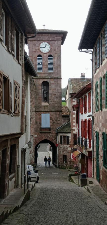 Saint Jean Pied De Port. Centre Ville. Rue Pietonne المظهر الخارجي الصورة