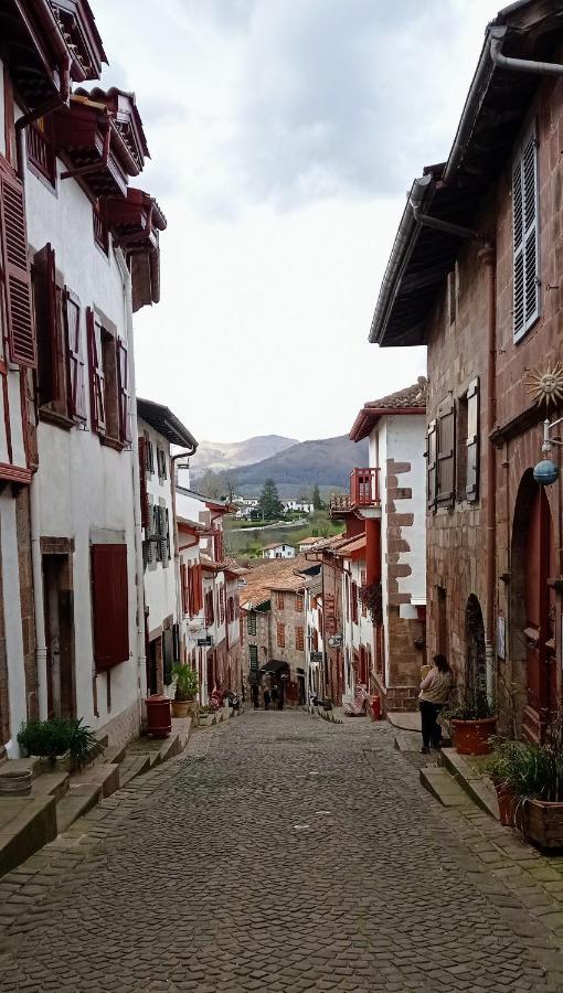 Saint Jean Pied De Port. Centre Ville. Rue Pietonne المظهر الخارجي الصورة